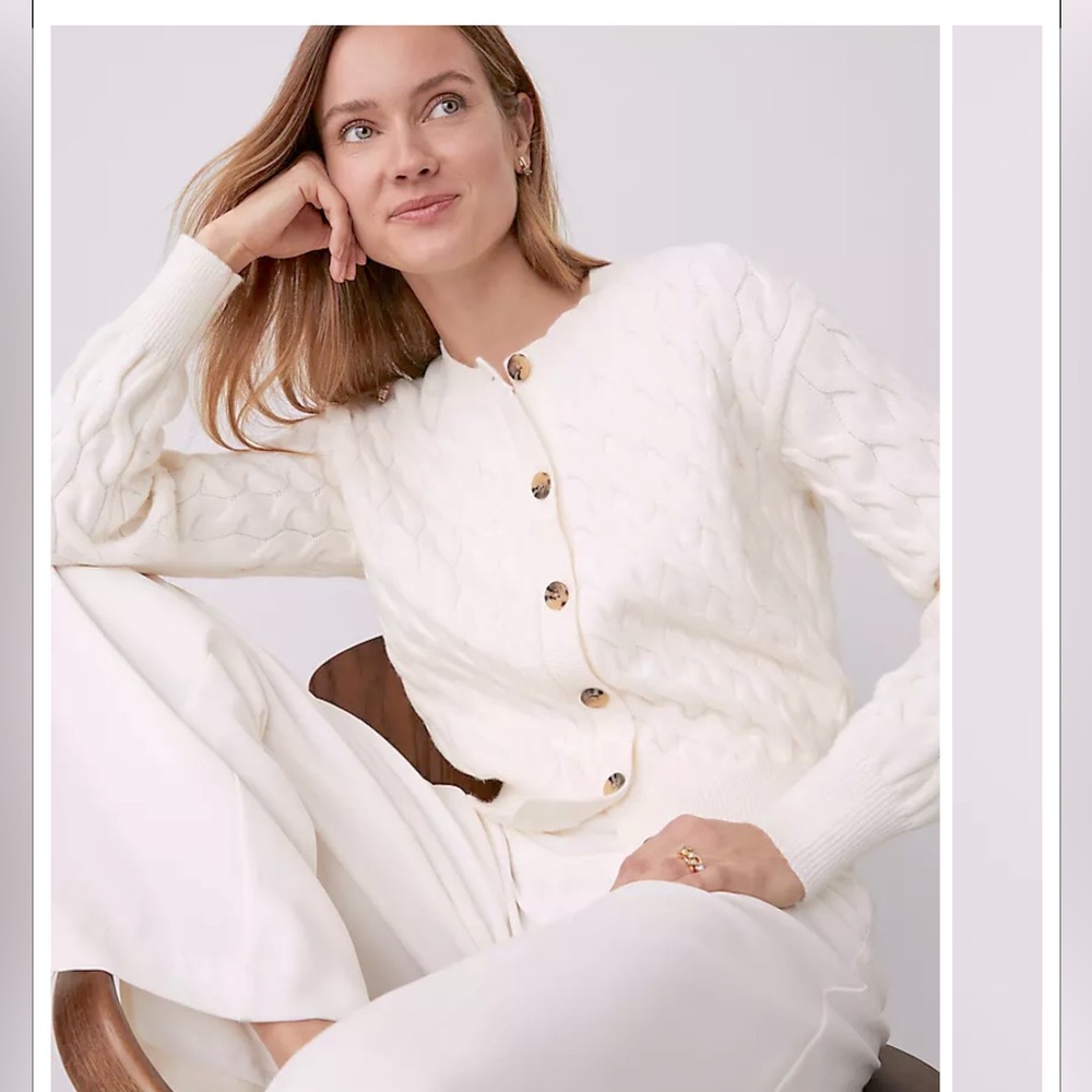 NWT Ann Taylor